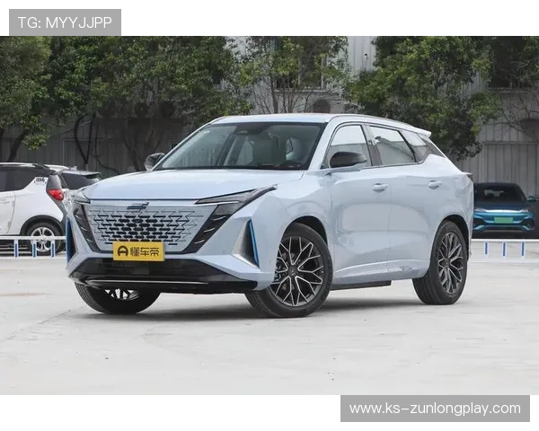 Z6就是博娱乐：用户真实评价与平台信誉度全面分析与解读