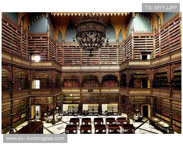 Z6尊龙网站登录入口详细操作流程及常见问题解决方案全方位解析