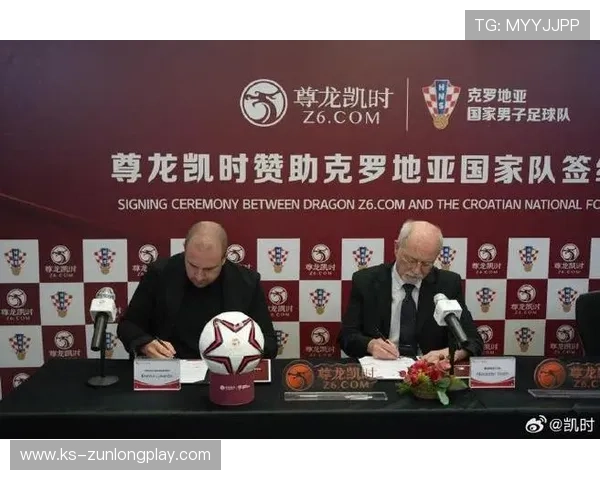 尊龙凯时体育域名维护与优化策略，提升网站访问速度与用户体验的实用建议
