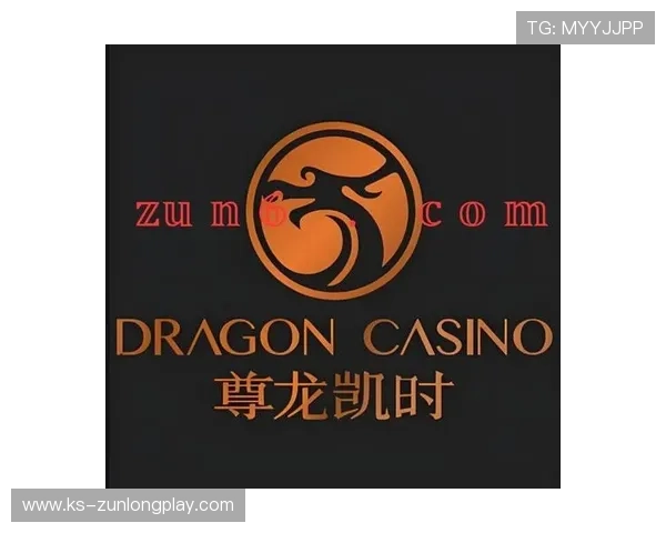 尊龙凯时平台登陆确保账号安全，提供多重保障让玩家无忧畅玩